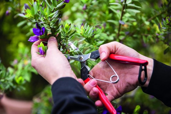 Felco F-322 Pruning Snips - Image 4