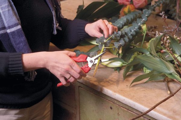 Felco F-310 Pruning Snips - Image 2