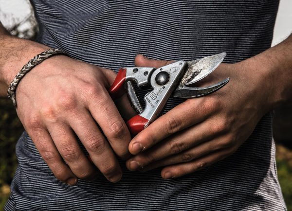 Felco F-8 Pruning Shears - Image 2