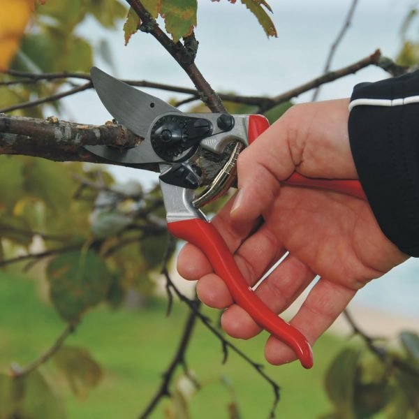 Felco F-8 Pruning Shears - Image 4