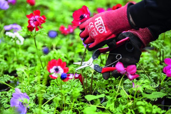 Felco F-321 Pruning Snips - Image 3